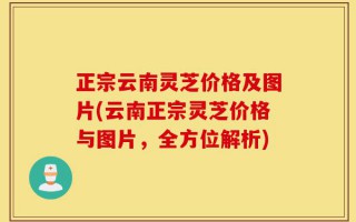 正宗云南灵芝价格及图片(云南正宗灵芝价格与图片，全方位解析)