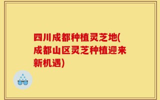 四川成都种植灵芝地(成都山区灵芝种植迎来新机遇)