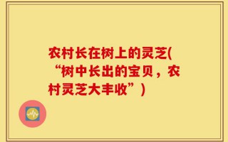 农村长在树上的灵芝(“树中长出的宝贝，农村灵芝大丰收”)