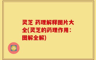 灵芝 药理解释图片大全(灵芝的药理作用：图解全解)