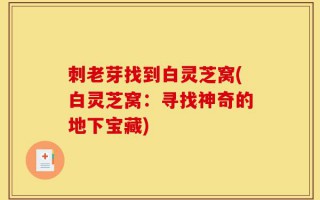 刺老芽找到白灵芝窝(白灵芝窝：寻找神奇的地下宝藏)