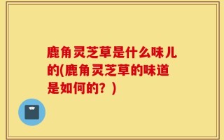 鹿角灵芝草是什么味儿的(鹿角灵芝草的味道是如何的？)