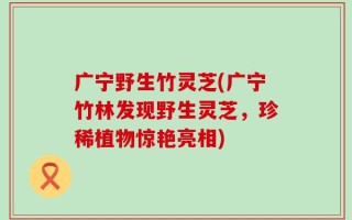 广宁野生竹灵芝(广宁竹林发现野生灵芝，珍稀植物惊艳亮相)