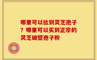 哪里可以捡到灵芝孢子？哪里可以买到正宗的灵芝破壁孢子粉