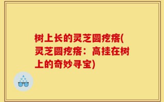 树上长的灵芝圆疙瘩(灵芝圆疙瘩：高挂在树上的奇妙寻宝)