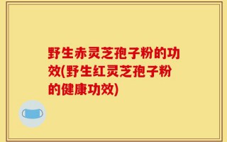野生赤灵芝孢子粉的功效(野生红灵芝孢子粉的健康功效)