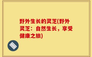 野外生长的灵芝(野外灵芝：自然生长，享受健康之旅)