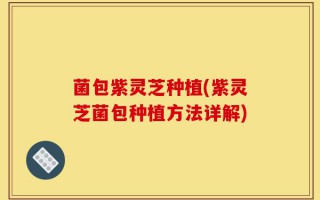 菌包紫灵芝种植(紫灵芝菌包种植方法详解)