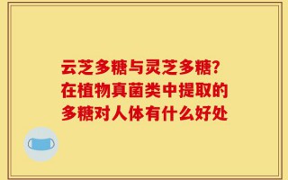云芝多糖与灵芝多糖？在植物真菌类中提取的多糖对人体有什么好处