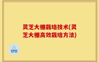 灵芝大棚栽培技术(灵芝大棚高效栽培方法)