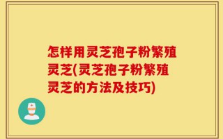 怎样用灵芝孢子粉繁殖灵芝(灵芝孢子粉繁殖灵芝的方法及技巧)