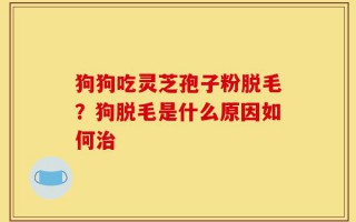 狗狗吃灵芝孢子粉脱毛？狗脱毛是什么原因如何治