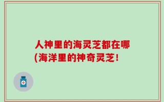 人神里的海灵芝都在哪(海洋里的神奇灵芝！