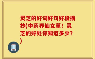 灵芝的好词好句好段摘抄(中药界仙女草！灵芝的好处你知道多少？)