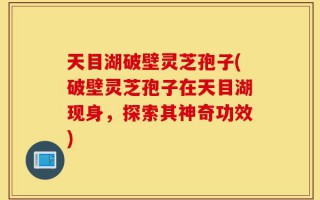 天目湖破壁灵芝孢子(破壁灵芝孢子在天目湖现身，探索其神奇功效)