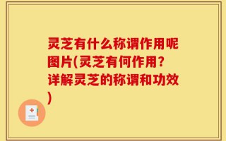灵芝有什么称谓作用呢图片(灵芝有何作用？详解灵芝的称谓和功效)