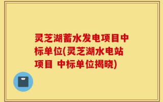 灵芝湖蓄水发电项目中标单位(灵芝湖水电站项目 中标单位揭晓)