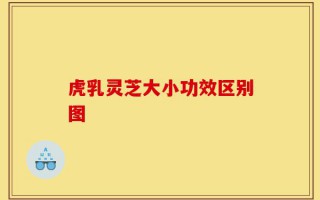虎乳灵芝大小功效区别图