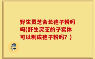 野生灵芝会长孢子粉吗吗(野生灵芝的子实体可以制成孢子粉吗？)