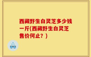 西藏野生白灵芝多少钱一斤(西藏野生白灵芝售价何止？)