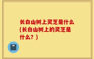 长白山树上灵芝是什么(长白山树上的灵芝是什么？)