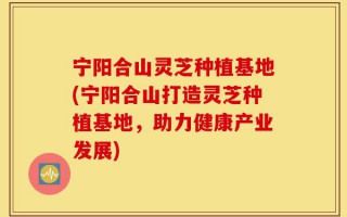 宁阳合山灵芝种植基地(宁阳合山打造灵芝种植基地，助力健康产业发展)