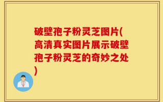 破壁孢子粉灵芝图片(高清真实图片展示破壁孢子粉灵芝的奇妙之处)