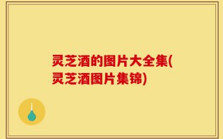 灵芝酒的图片大全集(灵芝酒图片集锦)