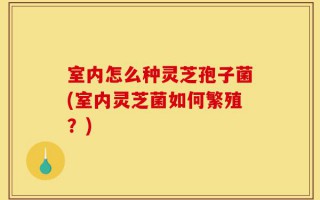室内怎么种灵芝孢子菌(室内灵芝菌如何繁殖？)