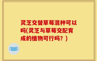 灵芝交替草莓混种可以吗(灵芝与草莓交配育成的植物可行吗？)