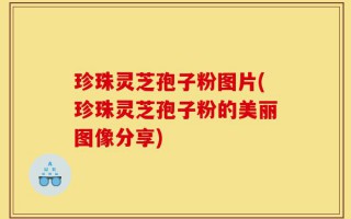 珍珠灵芝孢子粉图片(珍珠灵芝孢子粉的美丽图像分享)