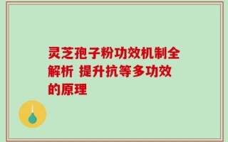 灵芝孢子粉功效机制全解析 提升抗等多功效的原理