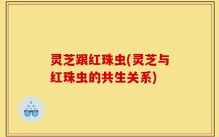 灵芝跟红珠虫(灵芝与红珠虫的共生关系)