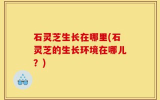 石灵芝生长在哪里(石灵芝的生长环境在哪儿？)