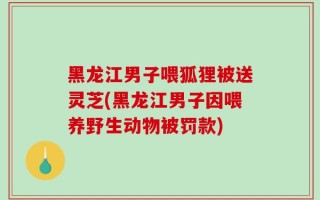 黑龙江男子喂狐狸被送灵芝(黑龙江男子因喂养野生动物被罚款)