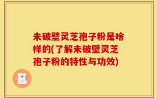 未破壁灵芝孢子粉是啥样的(了解未破壁灵芝孢子粉的特性与功效)