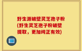 野生源破壁灵芝孢子粉(野生灵芝孢子粉破壁提取，更加纯正有效)