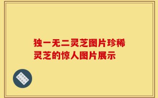 独一无二灵芝图片珍稀灵芝的惊人图片展示