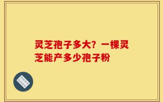 灵芝孢子多大？一棵灵芝能产多少孢子粉