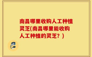 南昌哪里收购人工种植灵芝(南昌哪里能收购人工种植的灵芝？)