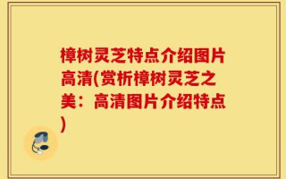 樟树灵芝特点介绍图片高清(赏析樟树灵芝之美：高清图片介绍特点)
