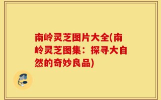 南岭灵芝图片大全(南岭灵芝图集：探寻大自然的奇妙良品)