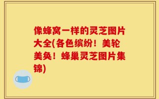 像蜂窝一样的灵芝图片大全(各色缤纷！美轮美奂！蜂巢灵芝图片集锦)