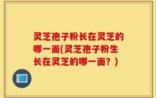 灵芝孢子粉长在灵芝的哪一面(灵芝孢子粉生长在灵芝的哪一面？)