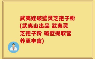 武夷娃破壁灵芝孢子粉(武夷山出品 武夷灵芝孢子粉 破壁提取营养更丰富)