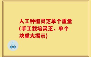 人工种植灵芝单个重量(手工栽培灵芝，单个块重大揭示)