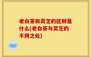 老白茶和灵芝的区别是什么(老白茶与灵芝的不同之处)