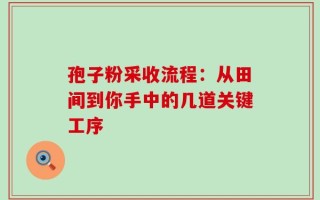 孢子粉采收流程：从田间到你手中的几道关键工序