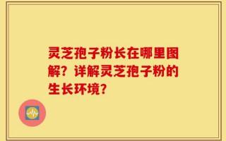灵芝孢子粉长在哪里图解？详解灵芝孢子粉的生长环境？