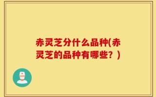 赤灵芝分什么品种(赤灵芝的品种有哪些？)